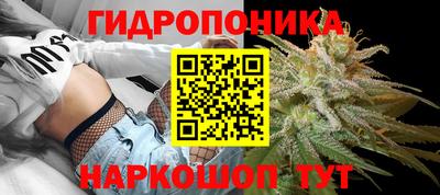 гидра Можга