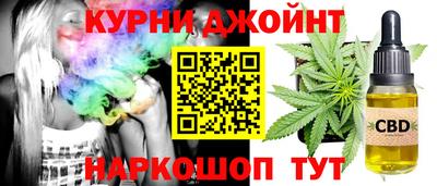 мяу мяу мука Моздок