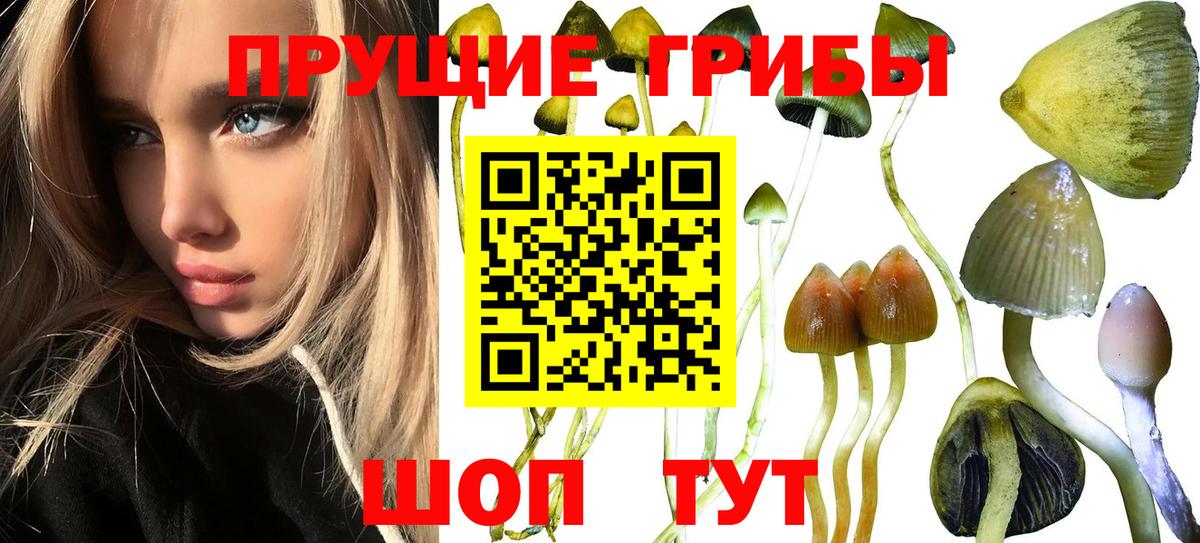 Псилоцибиновые грибы мухоморы  купить наркотики сайты  Усть-Илимск  Вход с VPN 
